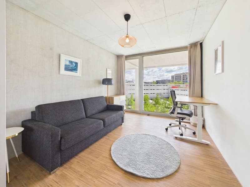 Helle 4.5-Zi.-Maisonette mit Aussenbereich in Zürich mieten (11)