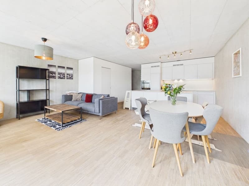 Helle 4.5-Zi.-Maisonette mit Aussenbereich in Zürich mieten (2)