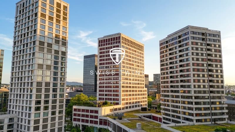 Helle 4.5-Zi.-Maisonette mit Aussenbereich in Zürich mieten (1)