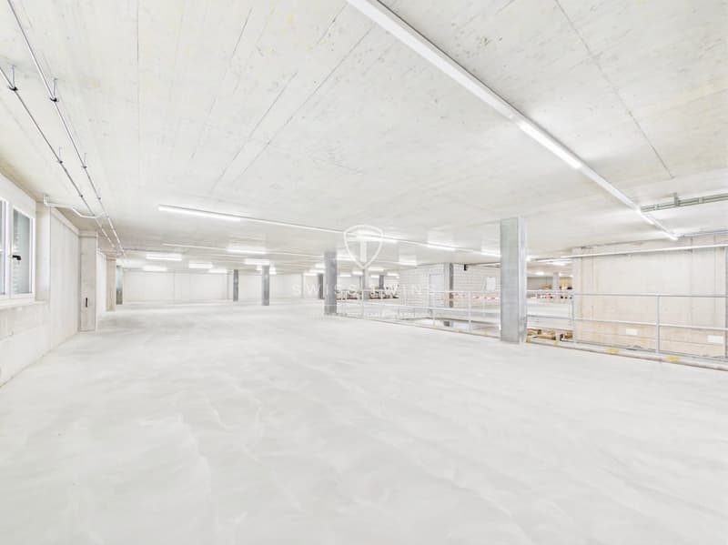 Neubau: flexible Gewerbe- & Büroflächen in Hochdorf mieten (3)