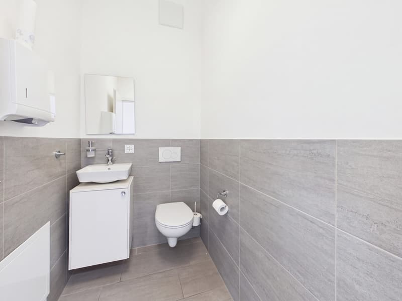 Moderne 5.5-Zimmer Büro-/Gewerbefläche in Baar mieten (9)