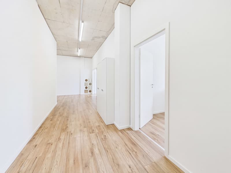 Moderne 5.5-Zimmer Büro-/Gewerbefläche in Baar mieten (6)