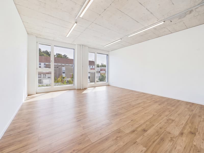 Moderne 5.5-Zimmer Büro-/Gewerbefläche in Baar mieten (2)