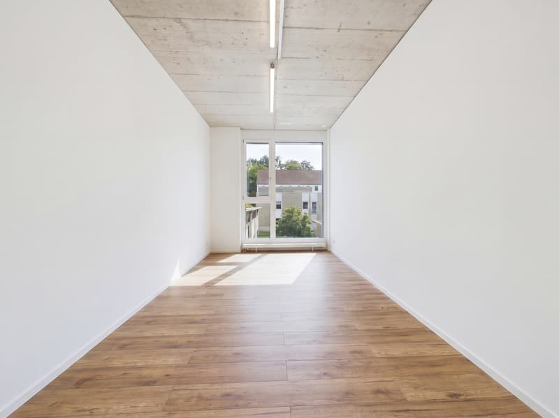 Moderne 5.5-Zimmer Büro-/Gewerbefläche in Baar mieten (7)