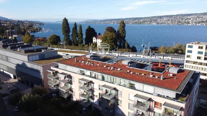 Lichtdurchflutete 3.5-Zimmer-Attika- in Horgen - Terrasse, Seesicht & optional voll ausgestattet (12)