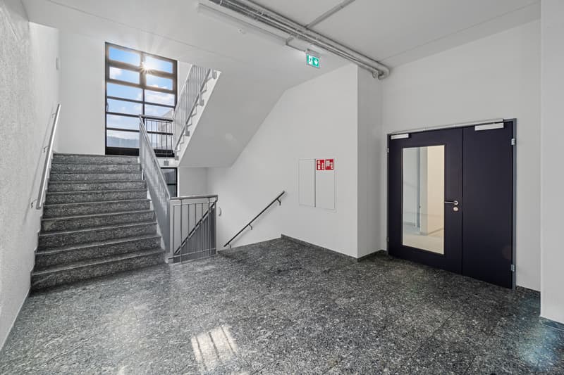 Halter_AG_Renovationen_Foto_Rickenbach_Industriestrasse_West_6_84.JPG
