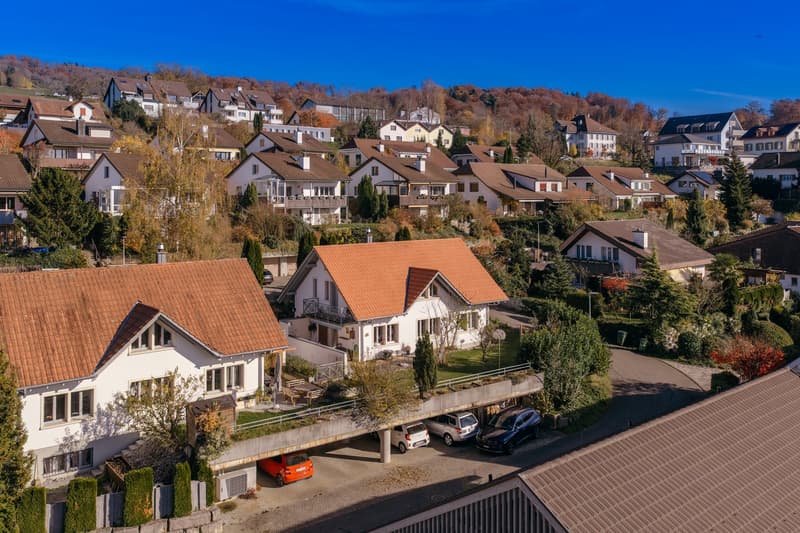 Natürlich wohnen, grosszügig leben (3)