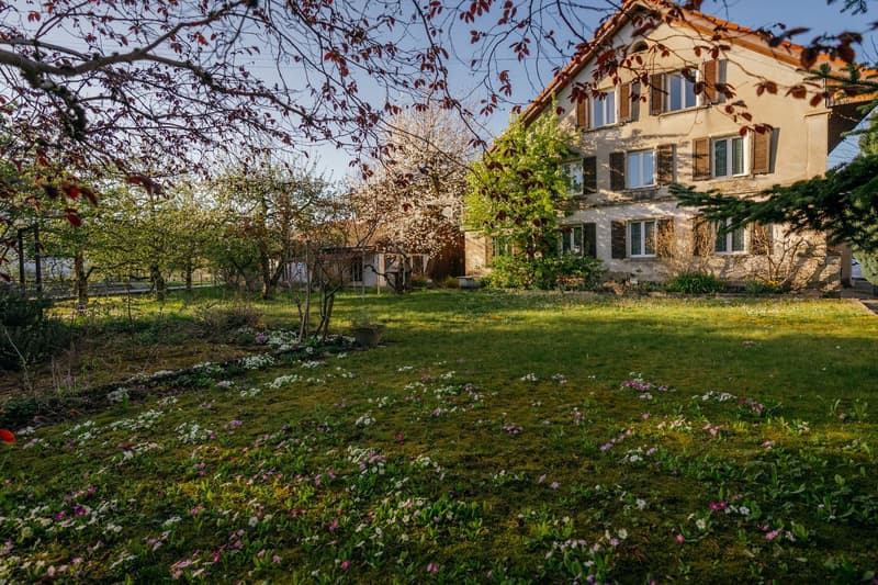 Ihre Projektchance: 1'212 m² Bauland innerhalb Bauzone WG3 (7)