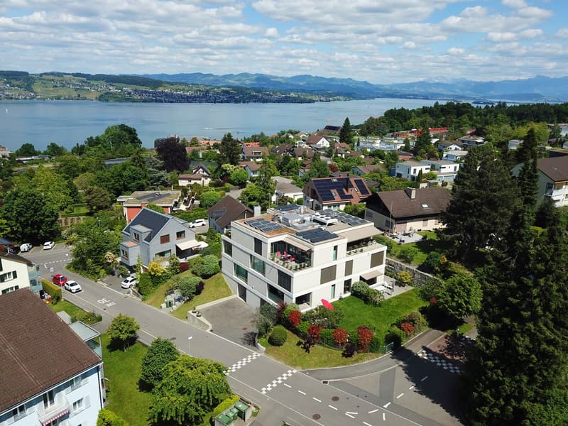 Stilvolle 4½-Zimmer Gartenwohnung mit teils Seesicht in Wädenswil (1)