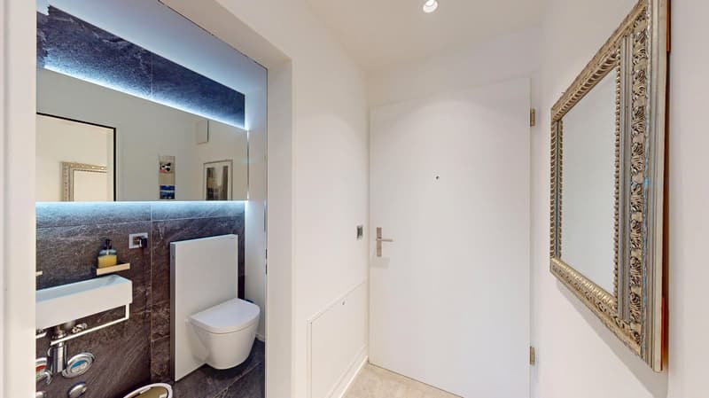 3½-Zimmer-Wohnung mit grossem Wohndisponibel und sonnigem Westbalkon (10)