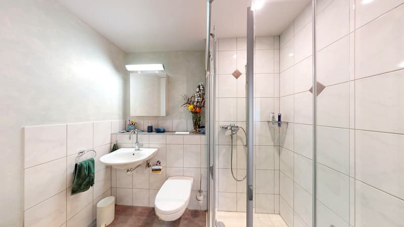 Charmante 3½-Zimmer Wohnung mit grosszügigem Garten (13)