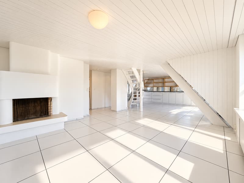 Über den Dächern von Zürich - Maisonette-Wohnung mit spektakulärer Dachterrasse (3)