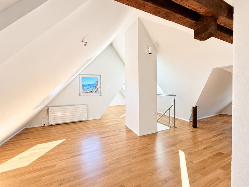 Über den Dächern von Zürich - Maisonette-Wohnung mit spektakulärer Dachterrasse (4)