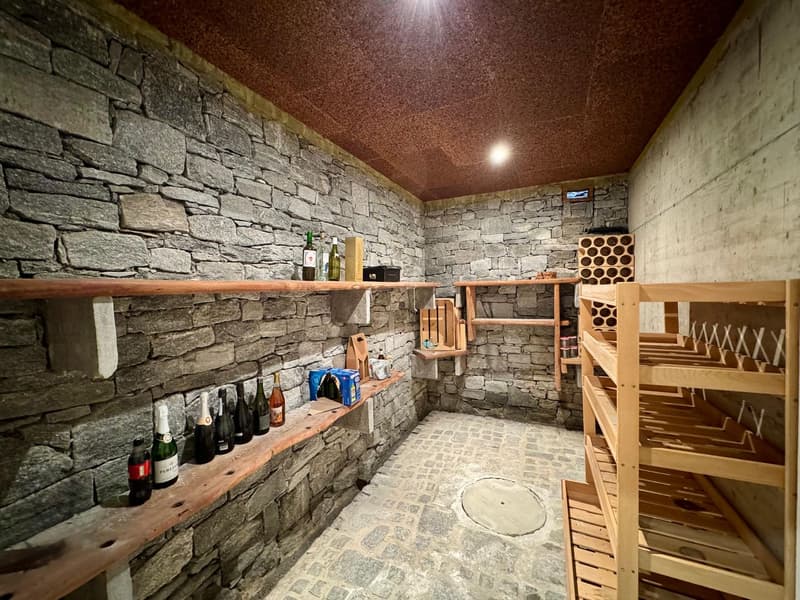 Bellinzona - Camorino - Casa bifamiliare composta da due appartamenti indipendenti con splendida vista panoramica e piscina (13)