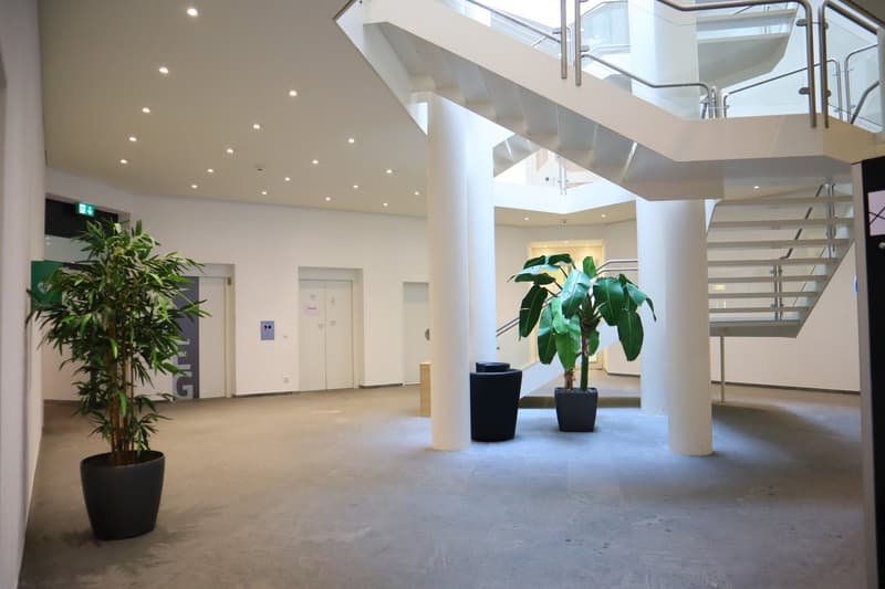 modern building, white walls, gray floor, two potted plants, staircase