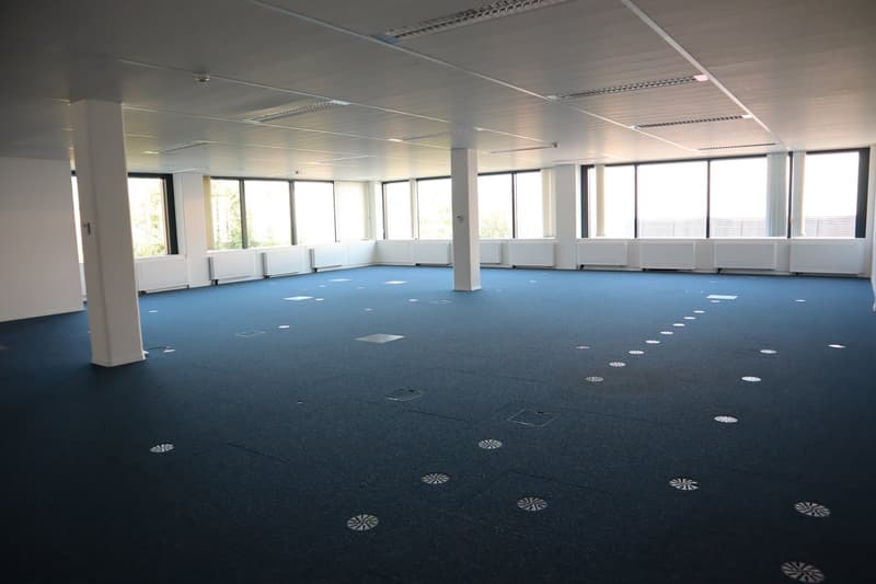 Empty room, blue carpet, white walls, large windows, white pillars, ceiling with lights