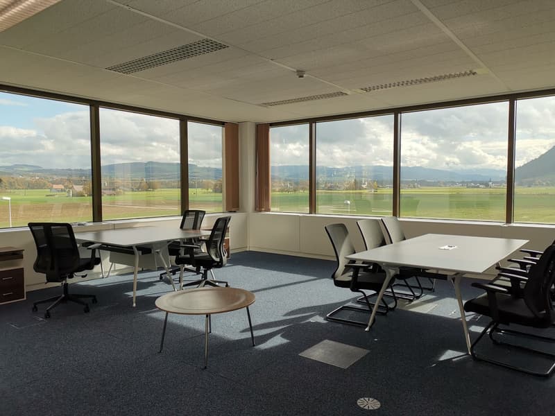 modern office room with large windows, white tables, black chairs, wooden table, carpeted floor