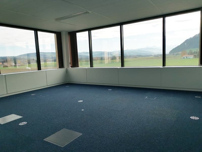 empty room, large windows, blue carpet, white walls, ceiling lights