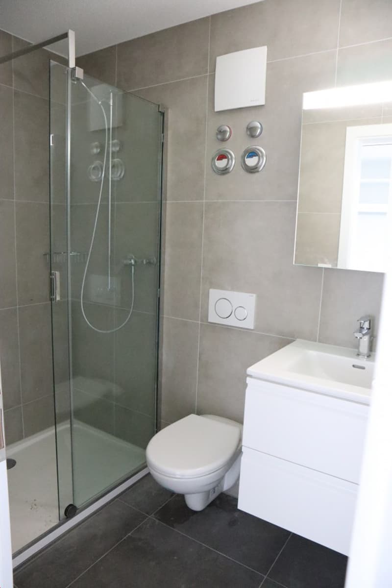 modern bathroom with shower, toilet, sink, and mirror