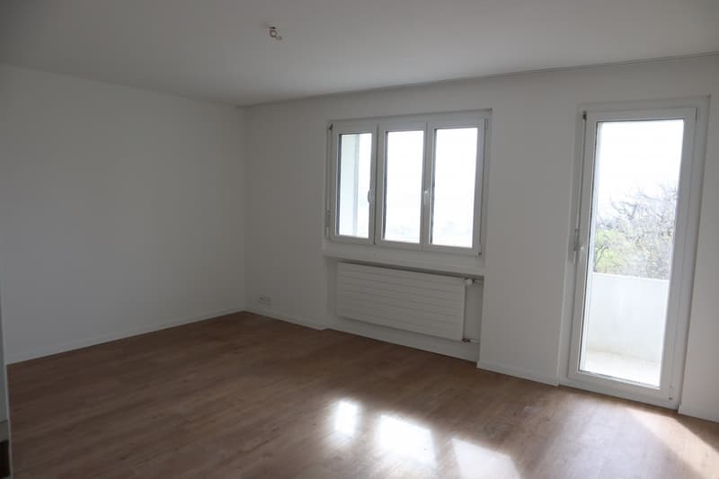 4-Zimmer-Wohnung mit Bergblick in Kirchenthurnen (3)
