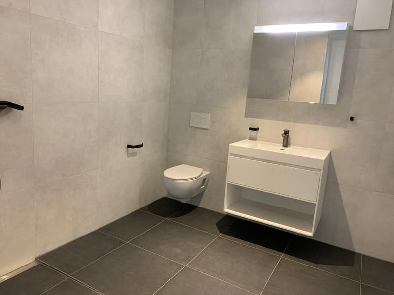 Helle 2.5-Zimmer-Wohnung mit Balkon in Pieterlen (5)