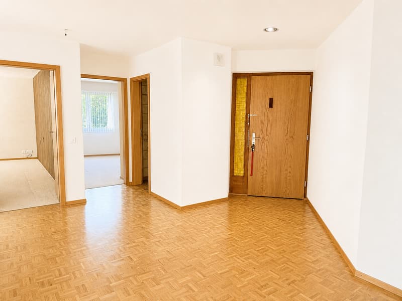 Sonnige 6.5-Zimmer-Gartenwohnung in parkähnlicher Umgebung (4)