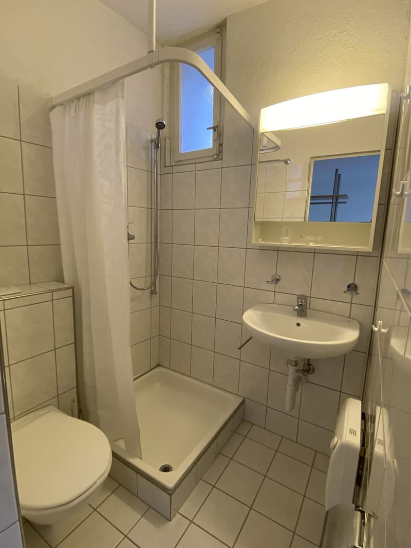 Möbliertes 1-Zimmer-Apartment im Altbau – Winterthur Wülflingen (4)