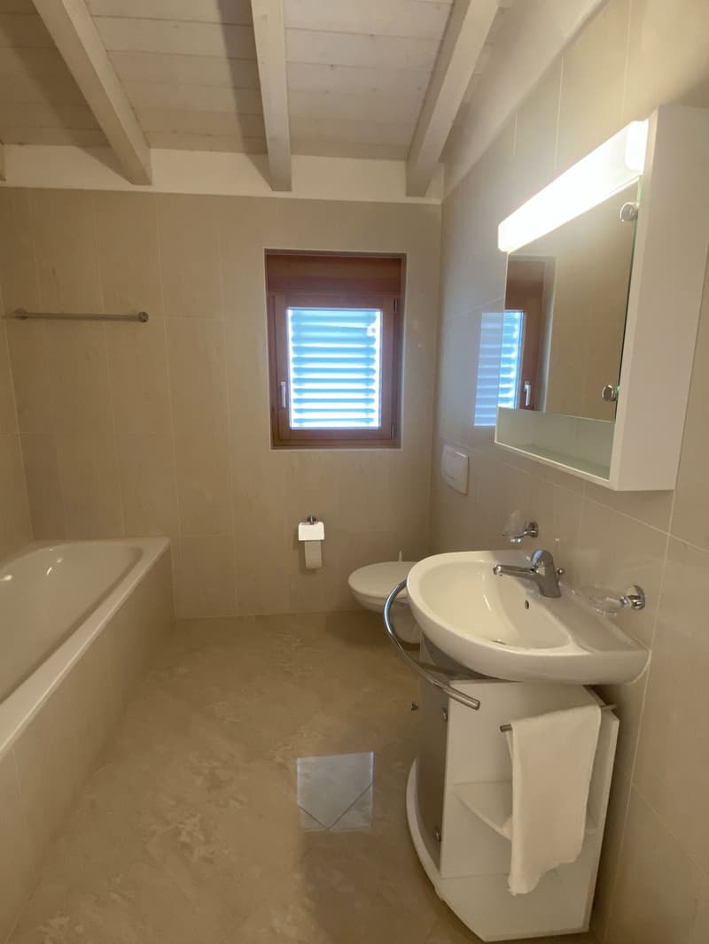 Charmante 4.5-Zimmer-Ferienwohnung mit Aussenschwimmbad (10)