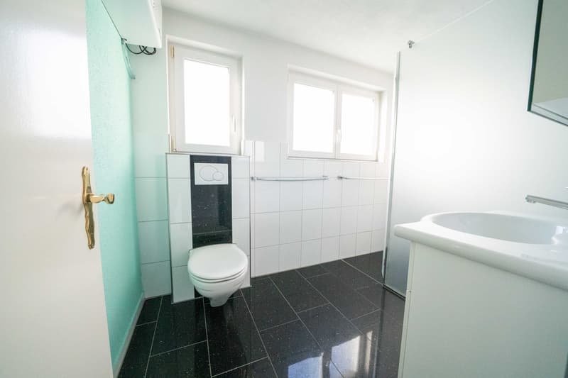 Attraktives Bauland mit Entwicklungspotenzial & Projektstudie – zentrale Lage in Rüti ZH (9)