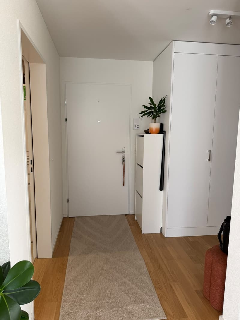 Moderne 2-Zimmer-Wohnung in Uster – Neubau mit Minergie-Zertifikat (7)