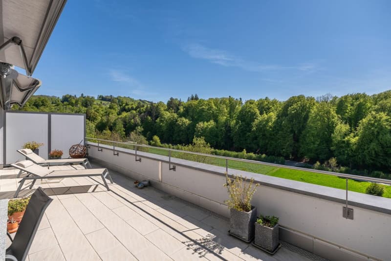 Wohnen mit Weitsicht - exklusive Terrassenwohnung in Utzigen (3)