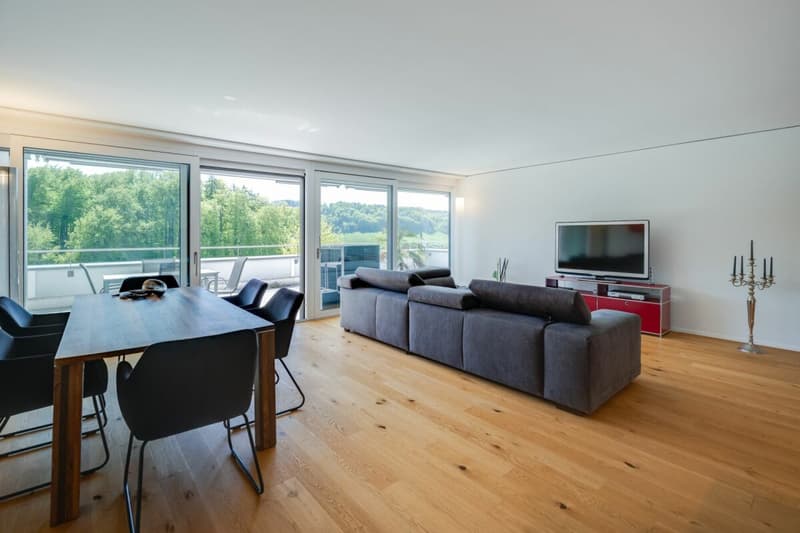 Wohnen mit Weitsicht - exklusive Terrassenwohnung in Utzigen (9)