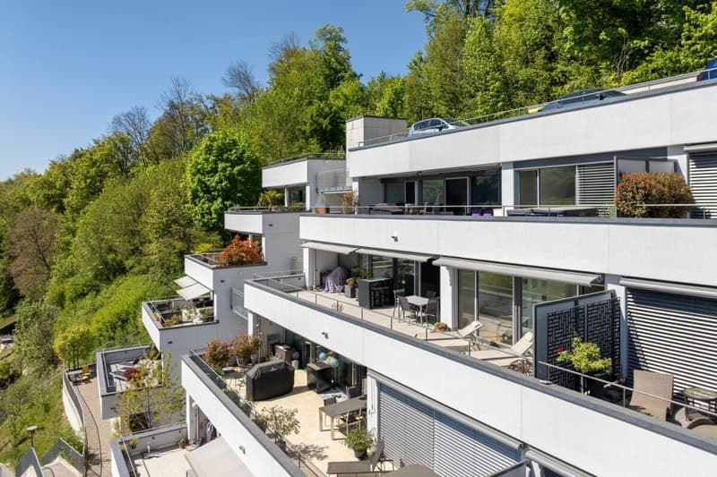 Living with a view - exclusive terrace apartment in Utzigen (19)