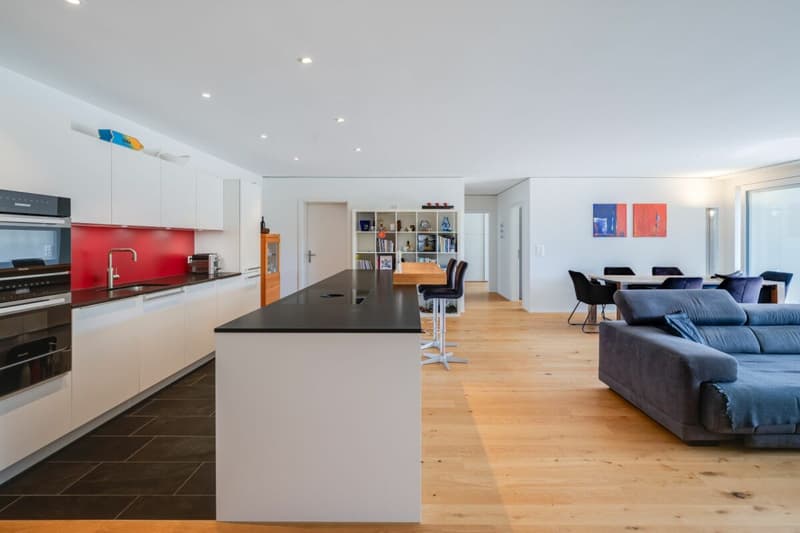 Living with a view - exclusive terrace apartment in Utzigen (11)