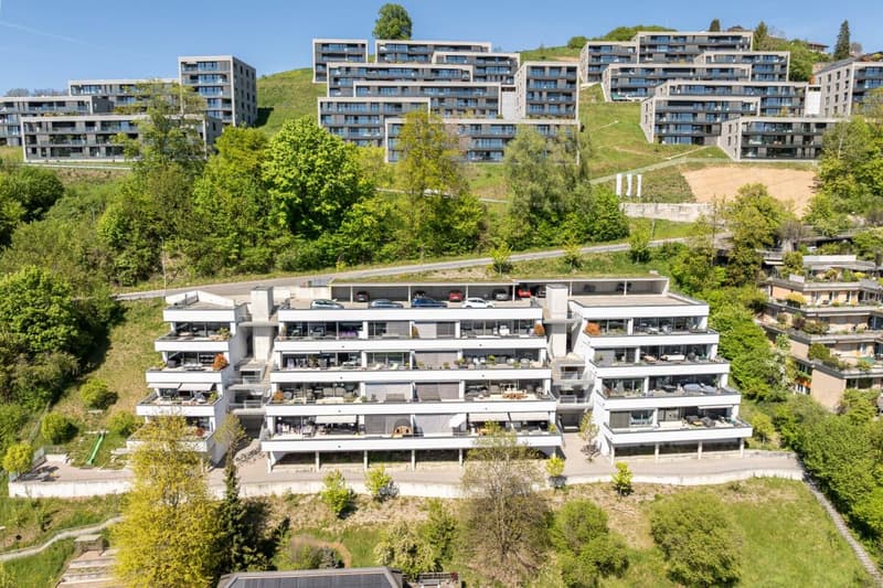 Living with a view - exclusive terrace apartment in Utzigen (20)