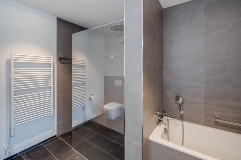 Living with a view - exclusive terrace apartment in Utzigen (14)