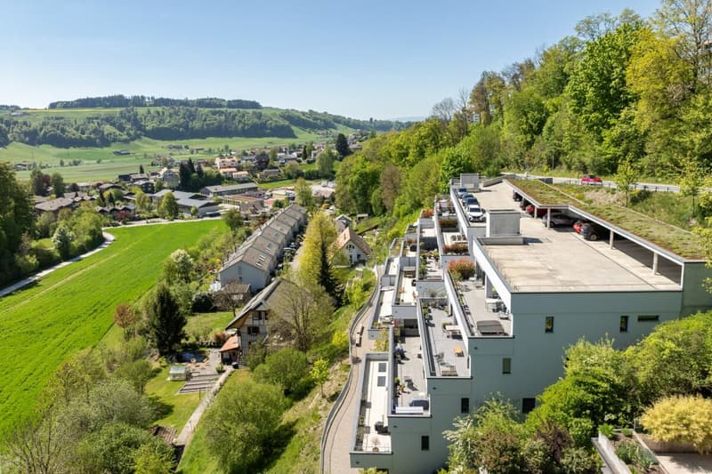 Living with a view - exclusive terrace apartment in Utzigen (18)