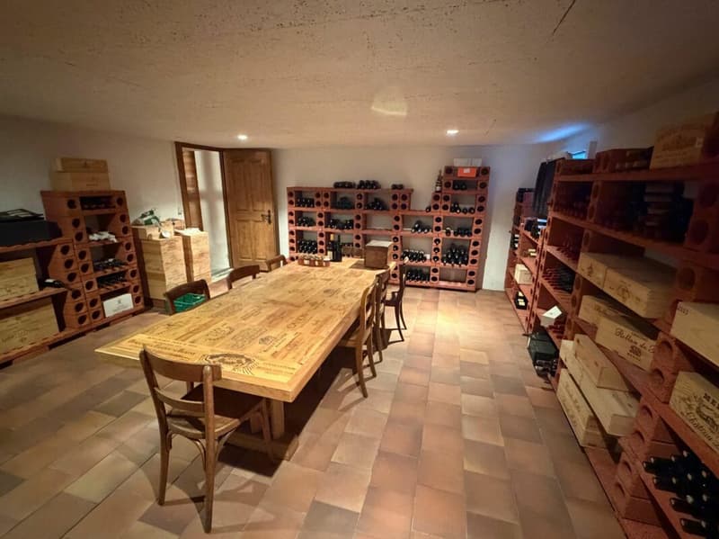Wohnen mit Weitsicht - Grosszügiges Familienhaus mit Einliegerwohnungen in Belp (16)