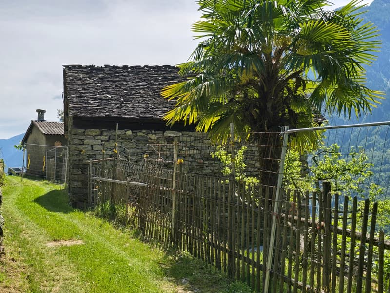 2 Rustici mit grossem Weinberg auch Zweitwohnsitz (3)