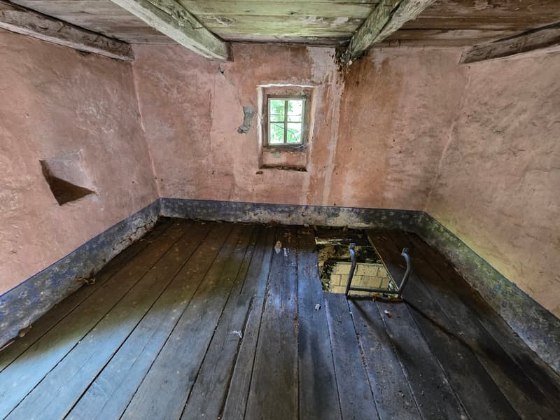 2 Rustici mit Grà zur Renovierung  mit großem Grundstück (9)