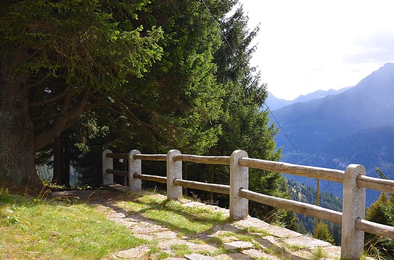 Schönes Chalet inmitten der Natur mit Grundstück und herrlicher Aussicht (2)