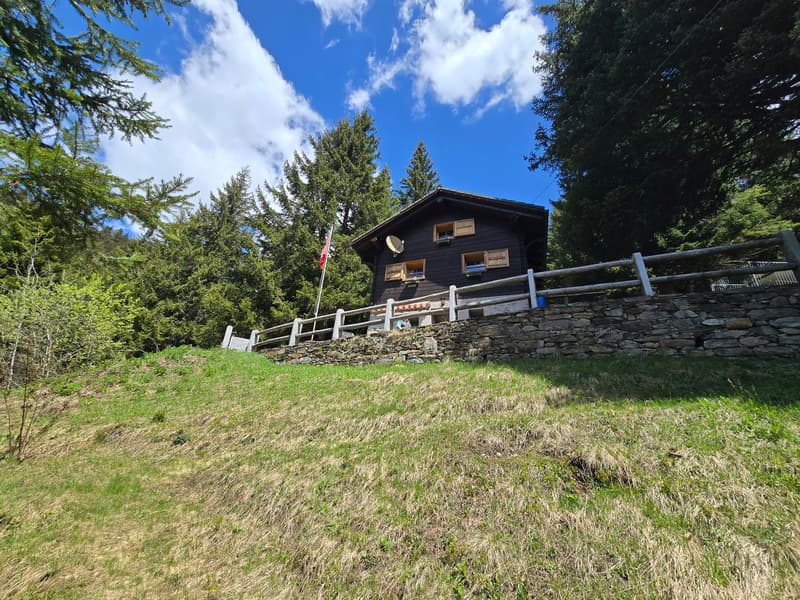 Schönes Chalet inmitten der Natur mit Grundstück und herrlicher Aussicht (3)