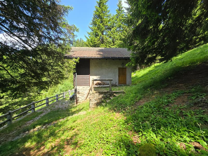 Schönes Chalet inmitten der Natur mit Grundstück und herrlicher Aussicht (27)