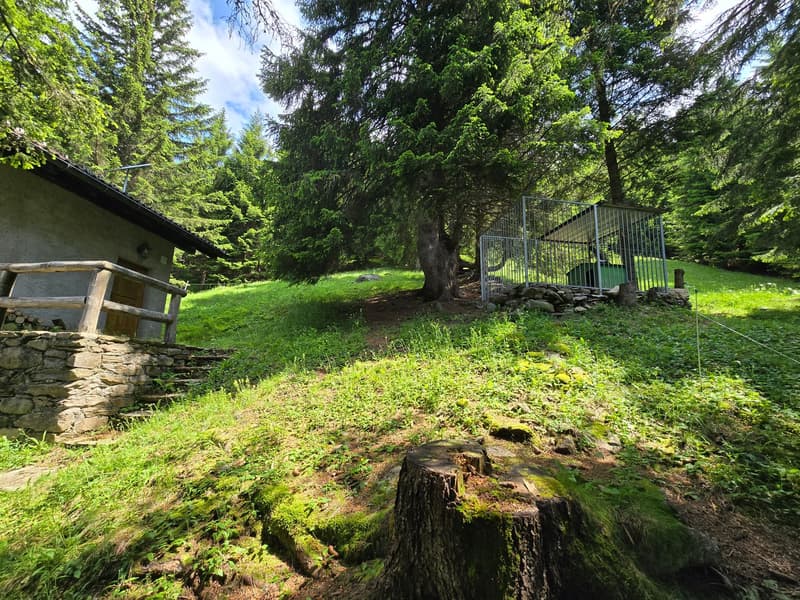 Schönes Chalet inmitten der Natur mit Grundstück und herrlicher Aussicht (30)