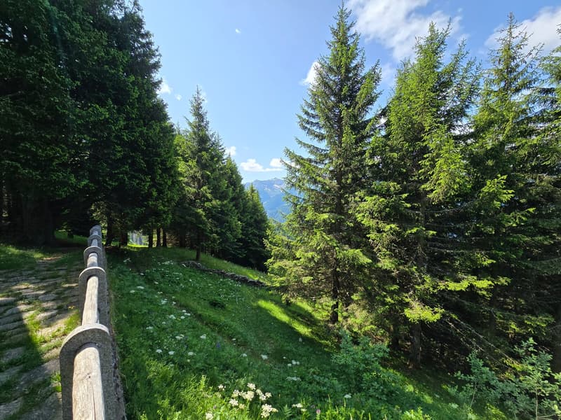 Schönes Chalet inmitten der Natur mit Grundstück und herrlicher Aussicht (31)
