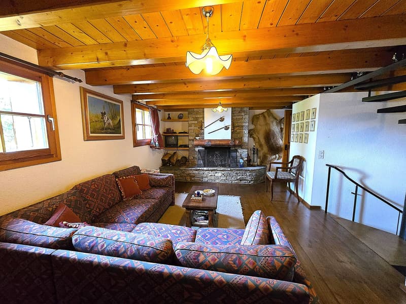 Schönes Chalet inmitten der Natur mit Grundstück und herrlicher Aussicht (4)