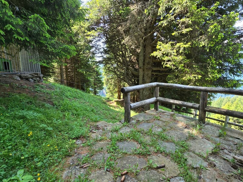 Schönes Chalet inmitten der Natur mit Grundstück und herrlicher Aussicht (29)
