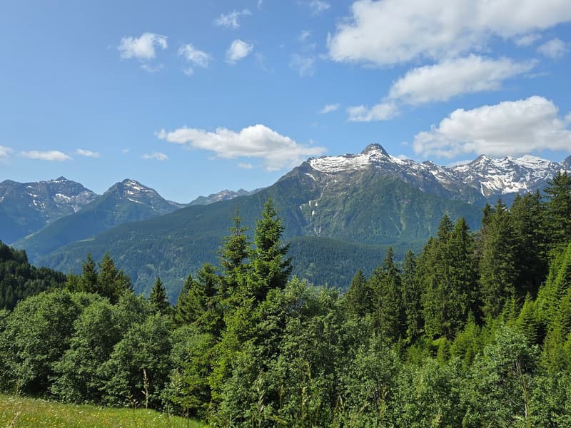 Schönes Chalet inmitten der Natur mit Grundstück und herrlicher Aussicht (32)