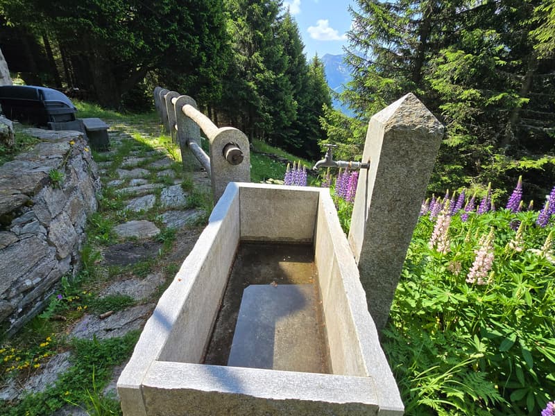 Schönes Chalet inmitten der Natur mit Grundstück und herrlicher Aussicht (25)