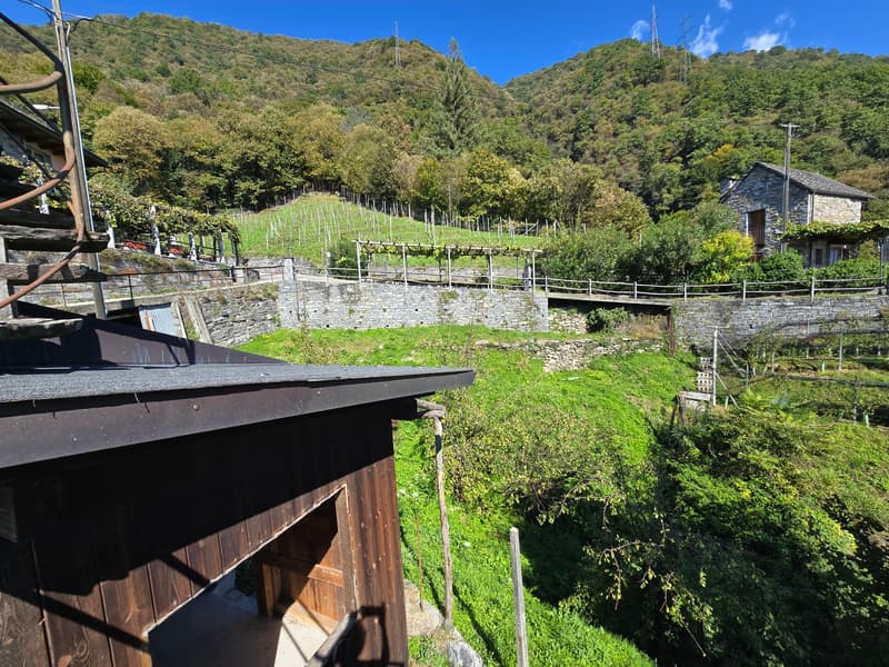 Terreno edificabile di 1029 m2 con vista lago panoramica (6)